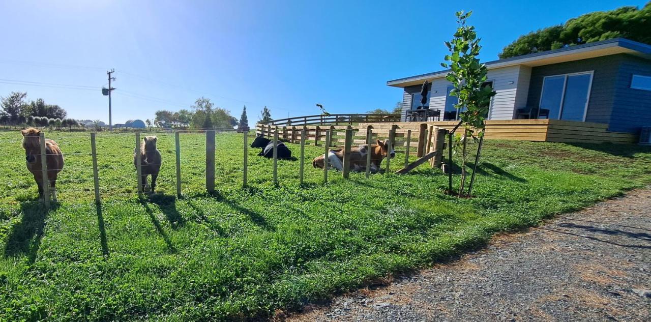 Country Comfort - Only 10 Minutes From Hamilton Cbd Kültér fotó