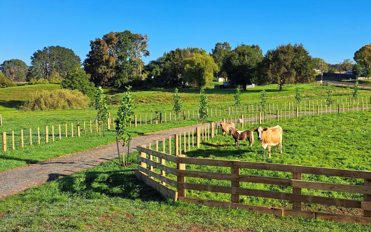 Country Comfort - Only 10 Minutes From Hamilton Cbd Kültér fotó
